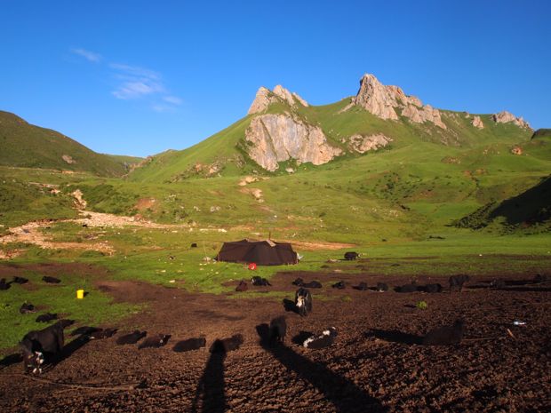 Yurt and mountains in the grasslands