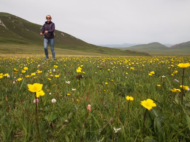 Running through flowers in the grasslands