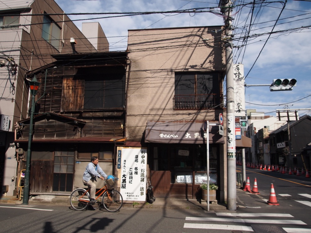 Street and Crossing, Yanaka, Tokyo