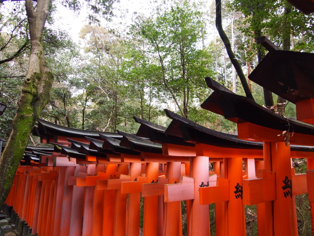 Fushimi Inari Kyoto