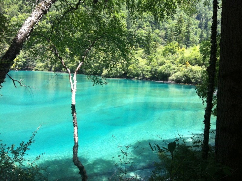 blue water jiuzhaigou national park