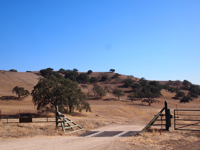 Santa Barbara Wine Country scenary