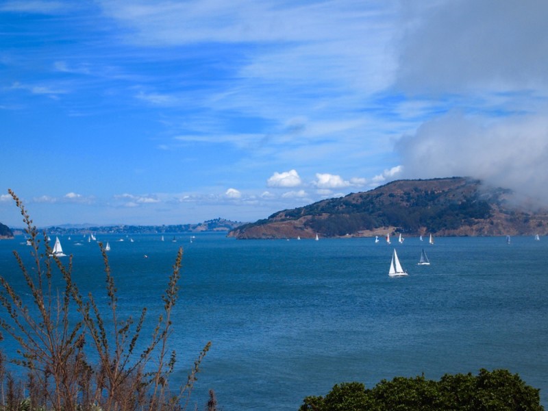 Sausalito Boats CA