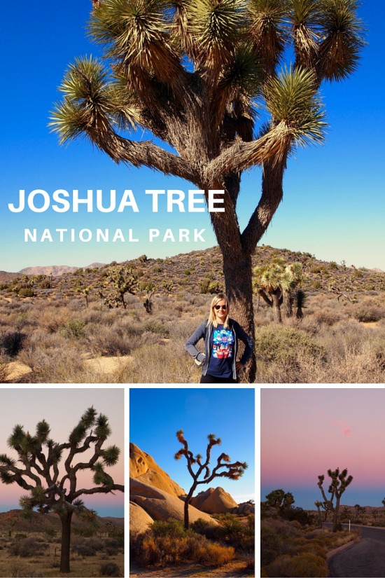 Joshua Tree