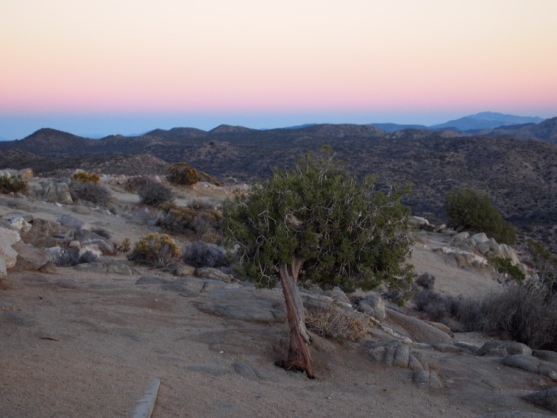 sunset Keys View Joshua Tree National Park