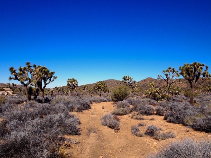 old mines hiking Joshua Tree National Park