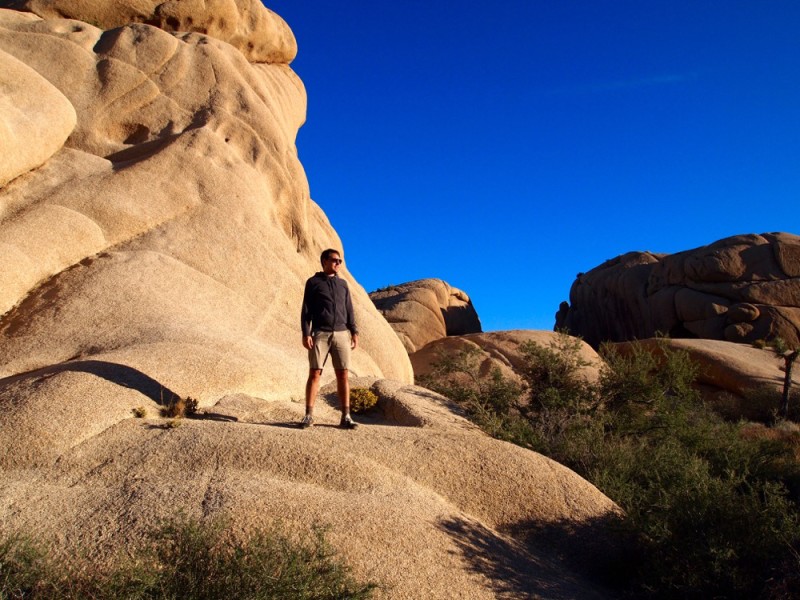 Rock Climbing Joshua Tree National Park