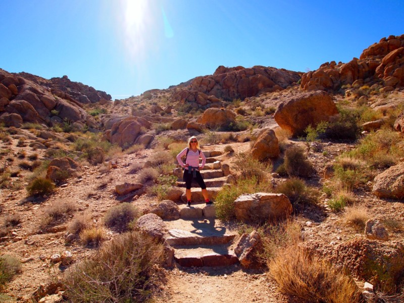 hiking desert Joshua Tree National Park