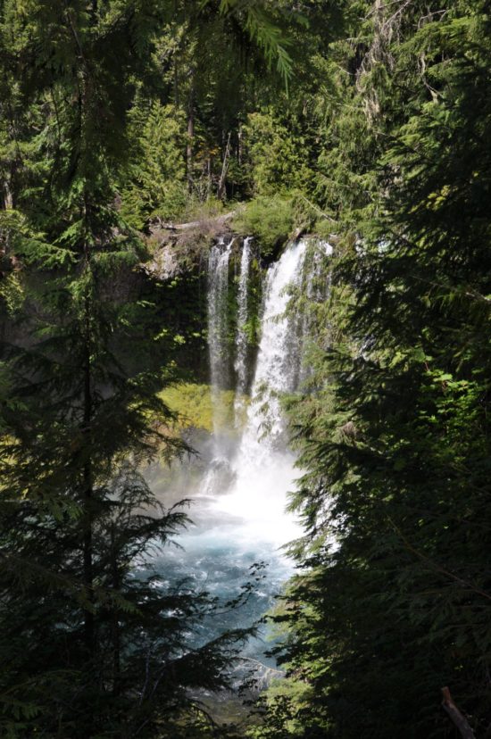 Koosah Falls waterfalls, Oregon road trip