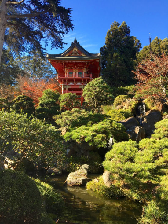 Golden Gate Park Japanese Garden