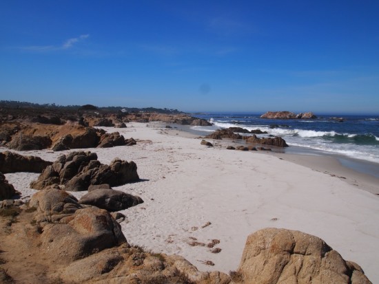 Have you been to California's 17 Mile Drive? - Paper Crane Stories