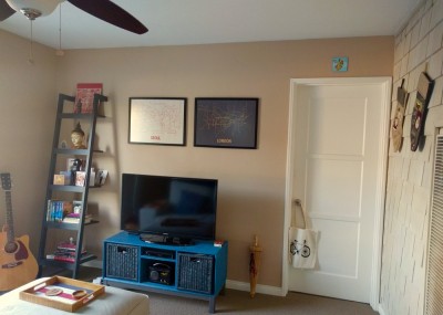 Living Room TV and bookshelf